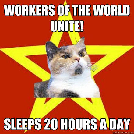 Workers of the world unite! sleeps 20 hours a day - Workers of the world unite! sleeps 20 hours a day  Lenin Cat