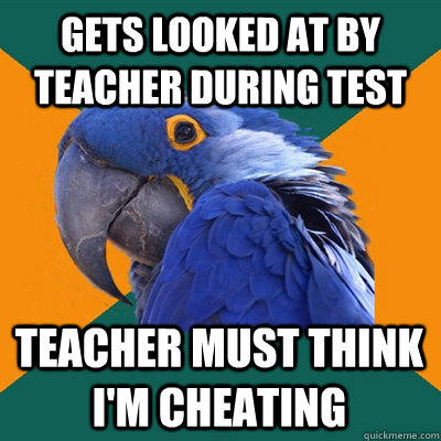Gets looked at by teacher during test teacher must think I'm cheating  Paranoid Parrot
