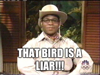 That bird is a liar!!! -  That bird is a liar!!!  Brian Fellow