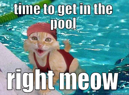 TIME TO GET IN THE POOL RIGHT MEOW Misc