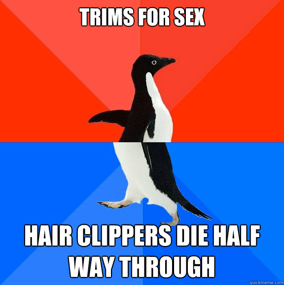 Trims for sex hair clippers die half way through - Trims for sex hair clippers die half way through  Socially Awesome Awkward Penguin