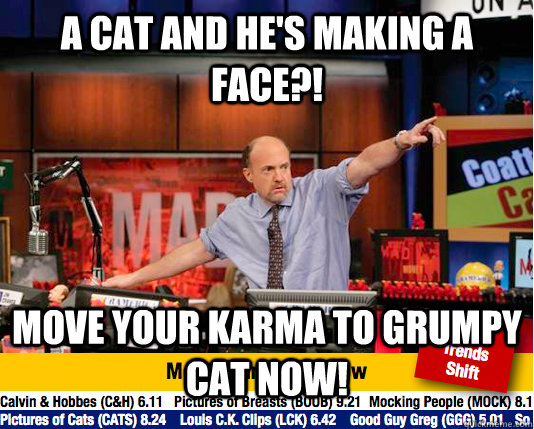 A cat and he's making a face?! Move your karma to grumpy cat now!  move your karma now