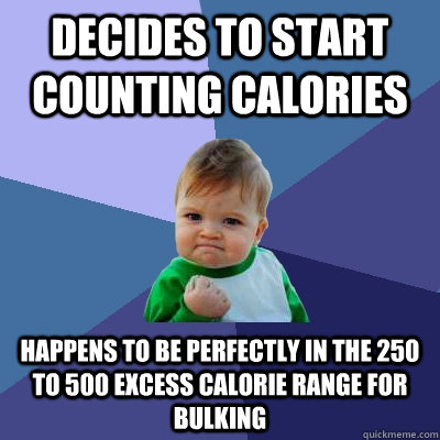 Decides to start counting calories happens to be perfectly in the 250 to 500 excess calorie range for bulking  Success Kid