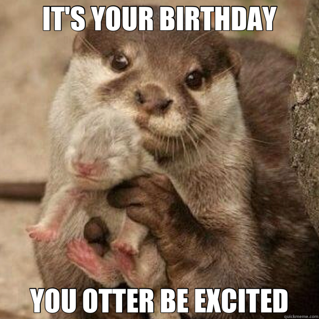 IT'S YOUR BIRTHDAY YOU OTTER BE EXCITED - IT'S YOUR BIRTHDAY YOU OTTER BE EXCITED  Misc