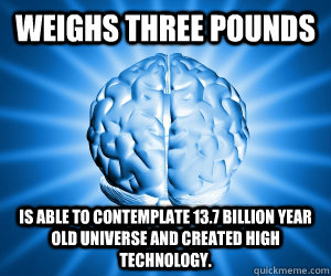 Weighs three pounds Is able to contemplate 13.7 billion year old universe and created high technology.  Good Guy Brain