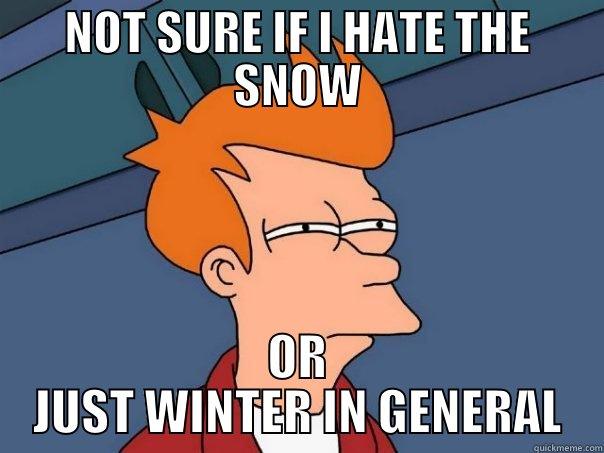 HATE SNOWING - NOT SURE IF I HATE THE SNOW OR JUST WINTER IN GENERAL Futurama Fry