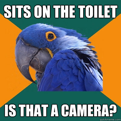 Sits on the toilet Is that a camera?  Paranoid Parrot