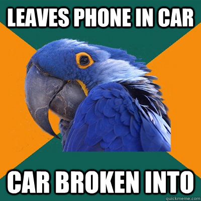 Leaves phone in car car broken into  Paranoid Parrot