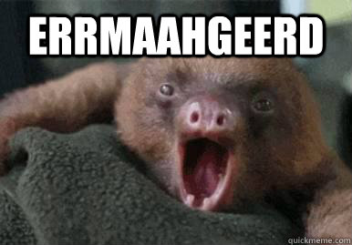 erRmaahgeerd  - erRmaahgeerd   ermahgerd sloth