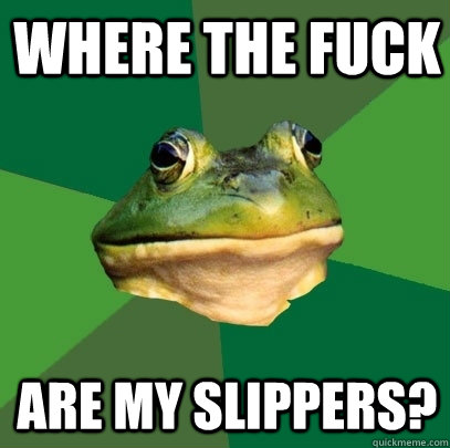 Where the fuck are my slippers?  Foul Bachelor Frog