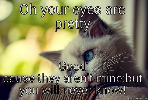 OH YOUR EYES ARE PRETTY GOOD CAUSE THEY AREN'T MINE:BUT YOU WILL NEVER KNOW! First World Problems Cat