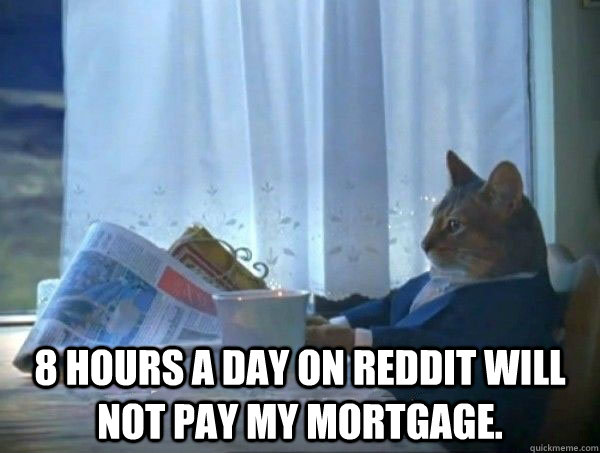  8 hours a day on Reddit will not pay my mortgage.  morning realization newspaper cat meme