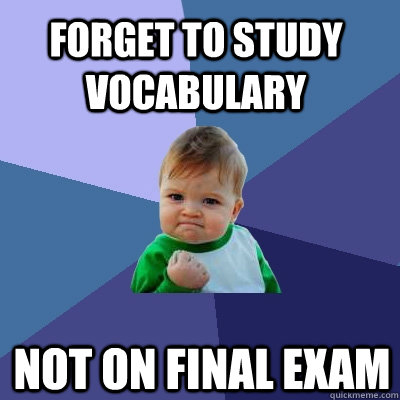 Forget to study vocabulary Not on Final Exam  Success Kid