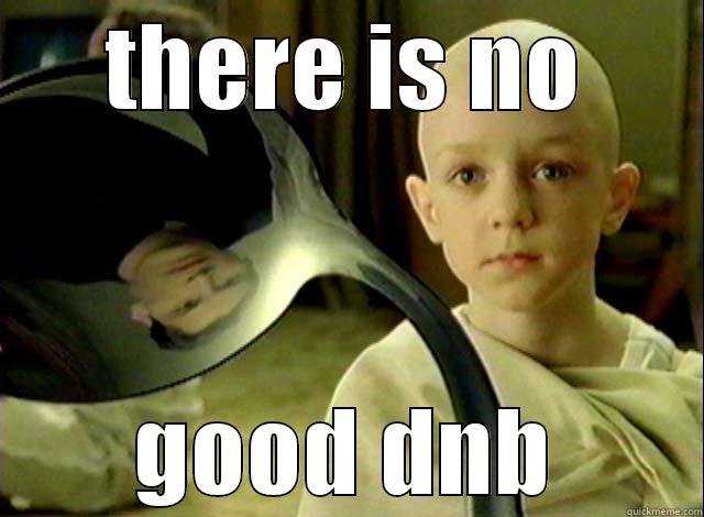 THERE IS NO GOOD DNB Misc