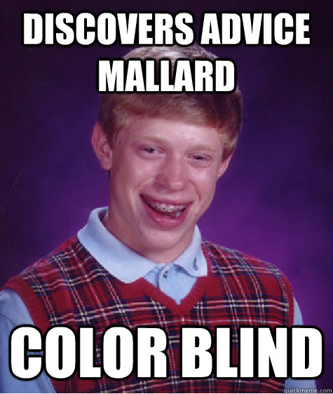Discovers advice mallard color blind  Bad Luck Brian