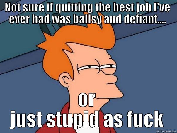 NOT SURE IF QUITTING THE BEST JOB I'VE EVER HAD WAS BALLSY AND DEFIANT.... OR JUST STUPID AS FUCK Futurama Fry