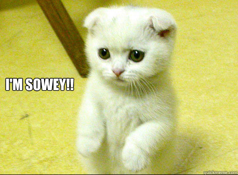 I'M SOWEY!!  sorry kitten