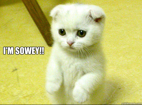 I'M SOWEY!! - I'M SOWEY!!  sorry kitten