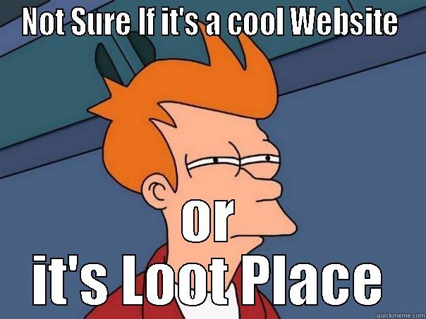 NOT SURE IF IT'S A COOL WEBSITE OR IT'S LOOT PLACE Futurama Fry