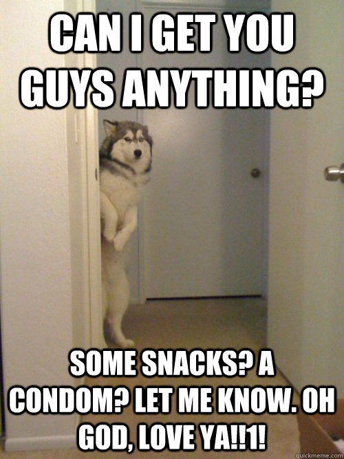 Can I get you guys anything? Some snacks? A condom? Let me know. Oh god, love ya!!1! - Can I get you guys anything? Some snacks? A condom? Let me know. Oh god, love ya!!1!  standing dog