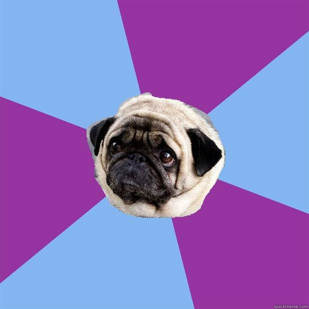    Lonely Pug