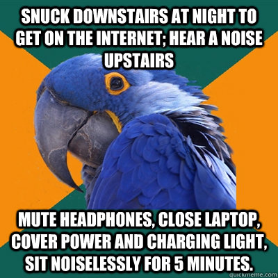 Snuck downstairs at night to get on the internet; hear a noise upstairs mute headphones, close laptop, cover power and charging light, sit noiselessly for 5 minutes.  Paranoid Parrot