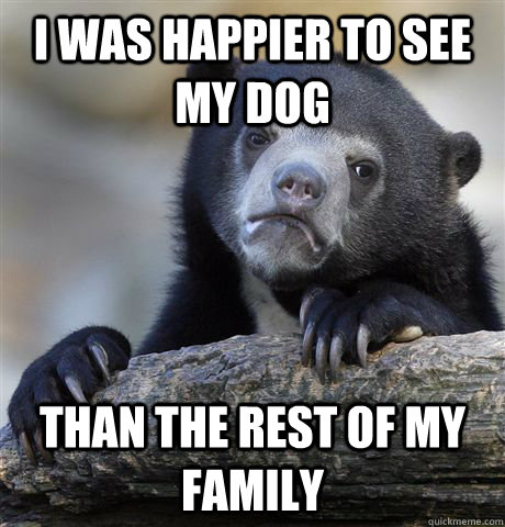I was happier to see my dog than the rest of my family  Confession Bear