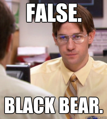 False. Black bear.  The office