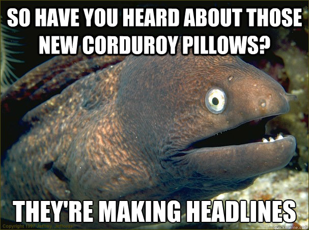 So have you heard about those new corduroy pillows? They're making headlines  Bad Joke Eel