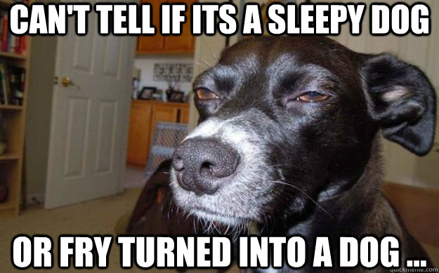 Can't tell if its a sleepy dog or Fry turned into a dog ...  Skeptical Mutt