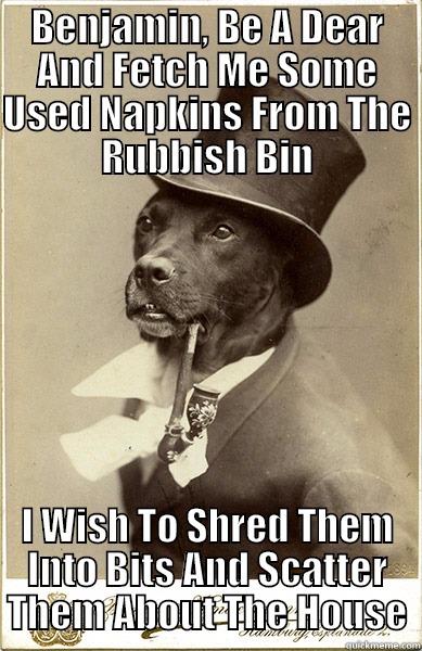 BENJAMIN, BE A DEAR AND FETCH ME SOME USED NAPKINS FROM THE RUBBISH BIN I WISH TO SHRED THEM INTO BITS AND SCATTER THEM ABOUT THE HOUSE Misc