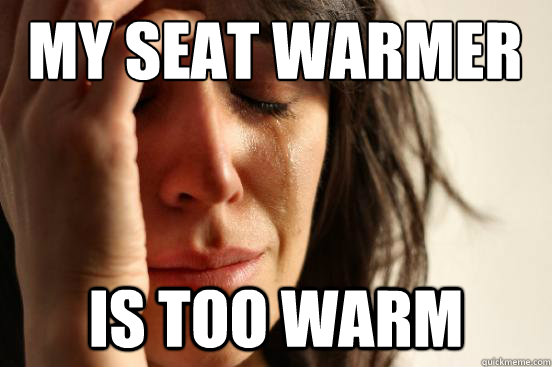 my seat warmer  is too warm  First World Problems