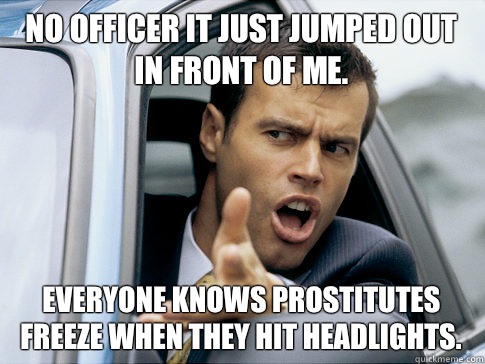 No officer it just jumped out in front of me. Everyone knows prostitutes freeze when they hit headlights.  Asshole driver