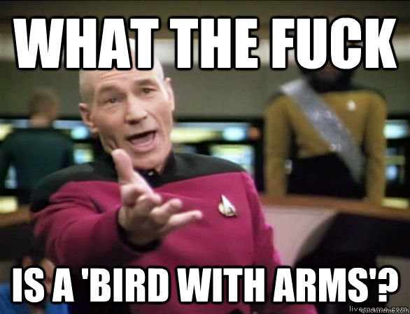 WHAT THE FUCK IS A 'BIRD WITH ARMS'?  Annoyed Picard HD