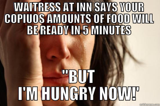 First World Restaurant - WAITRESS AT INN SAYS YOUR COPIUOS AMOUNTS OF FOOD WILL BE READY IN 5 MINUTES 