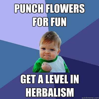 PUNCH FLOWERS
FOR FUN GET A LEVEL IN HERBALISM  Success Kid