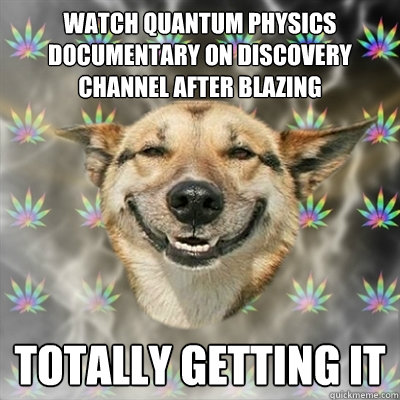 watch quantum physics documentary on discovery channel after blazing totally getting it  Stoner Dog
