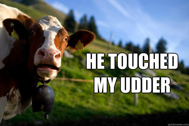 he touched 
my udder  