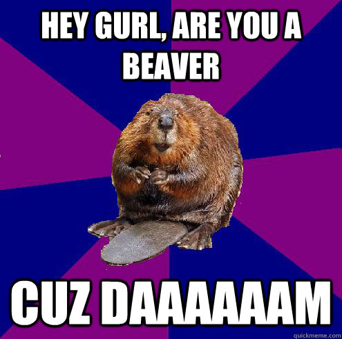 Hey Gurl, are you a beaver Cuz DAAAAAAM  