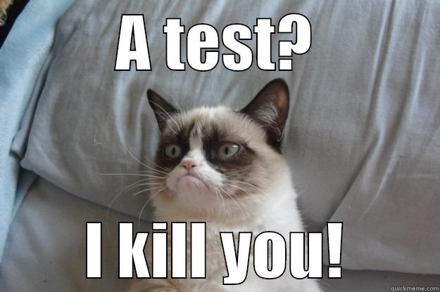 A TEST? I KILL YOU! Grumpy Cat