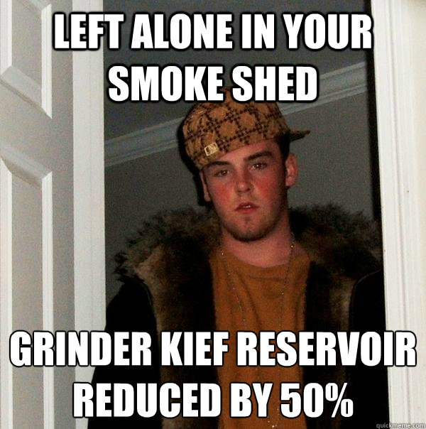left alone in your smoke shed grinder kief reservoir reduced by 50%  Scumbag Steve
