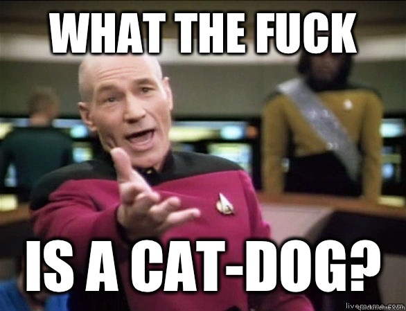 WHAT THE FUCK IS A CAT-DOG?  Annoyed Picard HD
