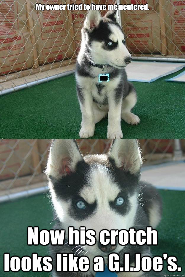 My owner tried to have me neutered. Now his crotch looks like a G.I.Joe's.  Insanity puppy