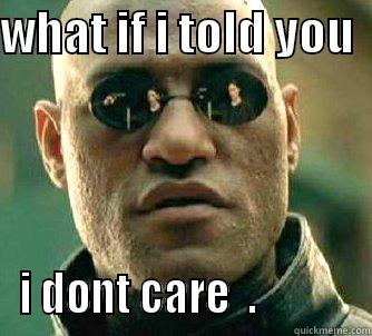 WHAT IF I TOLD YOU   I DONT CARE  .            Matrix Morpheus