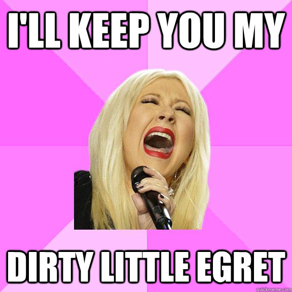 I'll keep you my dirty little egret  Wrong Lyrics Christina