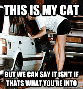this is my cat but we can say it isn't if thats what you're into  FB karma whore