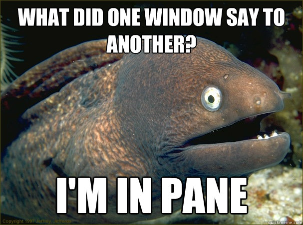 What did one window say to another? i'm in pane  Bad Joke Eel