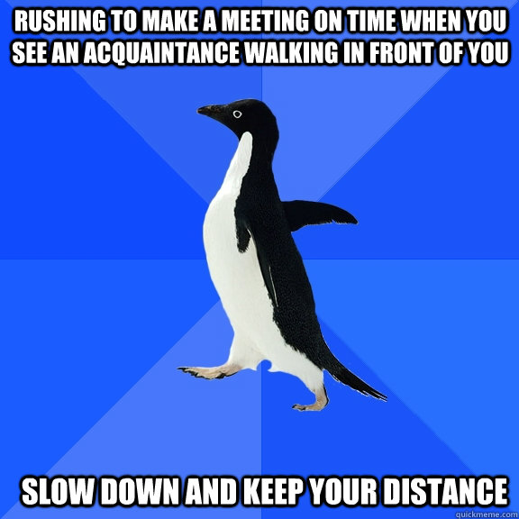 rushing to make a meeting on time when you see an acquaintance walking in front of you  slow down and keep your distance   Socially Awkward Penguin