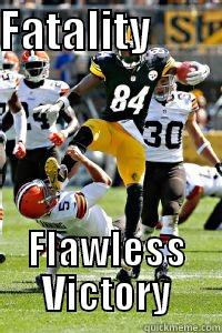 FATALITY         FLAWLESS VICTORY Misc