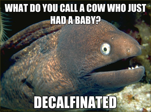 What do you call a cow who just had a baby? Decalfinated  Bad Joke Eel